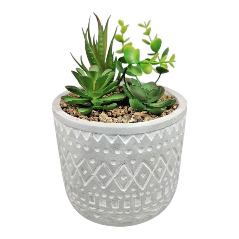 Modern Coastal Artificial Succulent Bouquet Snake & Jade Plant, Echeveria, Sedum